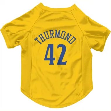 Nate Thurmond Golden State Warriors Away Jersey - Blue PSA COA – All In  Autographs